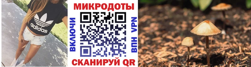 MEGA онион где найти Ялта Галлюциногенные грибы Magic Shrooms